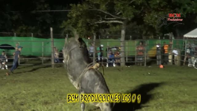 Copa Ganadera Santa Rita 20 nov 2016 BCM PRODUCCIONES LOS # 1 смотреть онлайн
