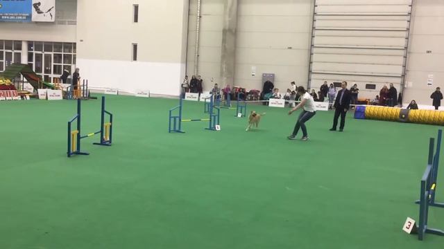 Катя и Малина смотреть онлайн