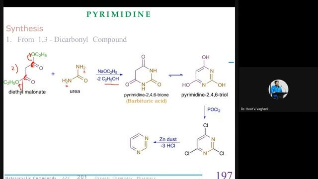 Pyrimidine Chemistry смотреть онлайн