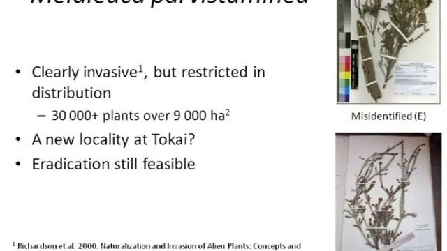Llewellyn Jacobs - Current status of Melaleuca and Callistemon - June 2014 смотреть онлайн
