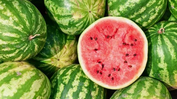 DJ АРБУЗ полная версия