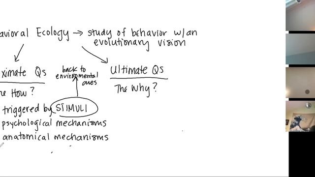 AP Bio Notes - B@T's 3/23