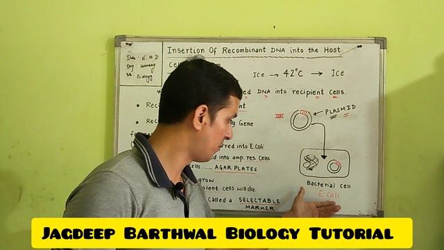 Insertion of Recombinant DNA into the Host cell/organism l Biotechnology : Principles and Processes смотреть онлайн