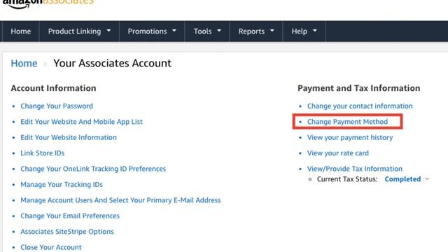 How To Withdraw Money From Amazon Influencer Program (Best Method) смотреть онлайн