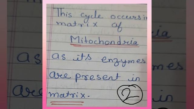 #kreb'scycle#respiration #youtube #shortvideo #shortsvideo #biology #youtube #shortvideo #shorts
