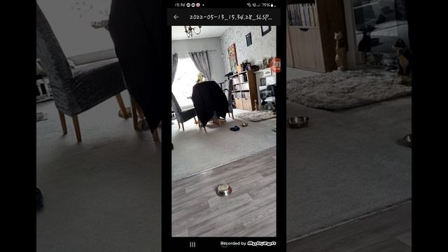 SLS Camera app смотреть онлайн
