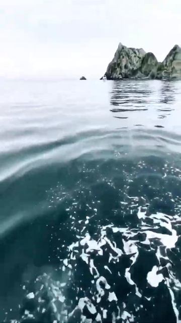 Swimming with orcas! смотреть онлайн