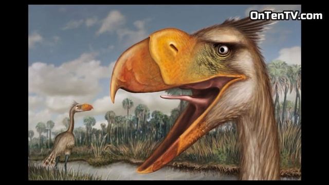 Terror Bird: The Most Ruthless Bird in History смотреть онлайн