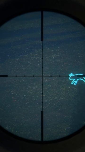 Doubling Up On Mule Deer!