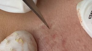 Relax Every Day SacDepSpa #589