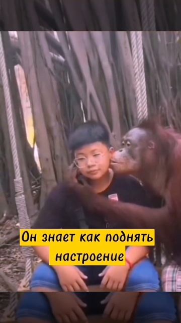 Поднять настроение смотреть онлайн