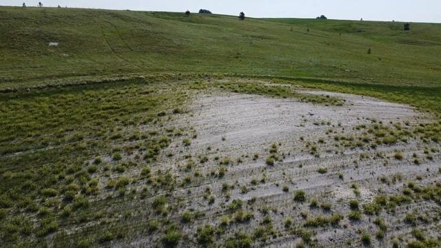 Сурок на норе Риновские хутора, Ульяновская обл.