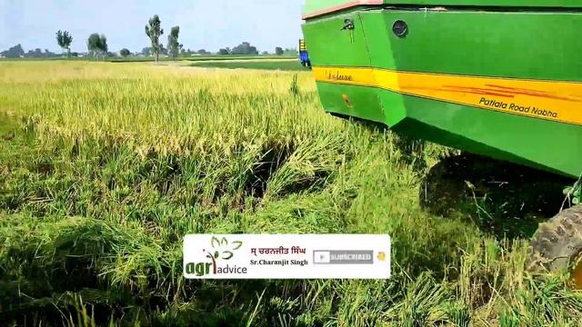ਦੇਖੋ ਨਵੀਂ 1121 ਤੇ 1718 ਦਾ ਰੇਟ • basmati 1121 price in punjab today, basmati 1718 mandi rate today смотреть онлайн