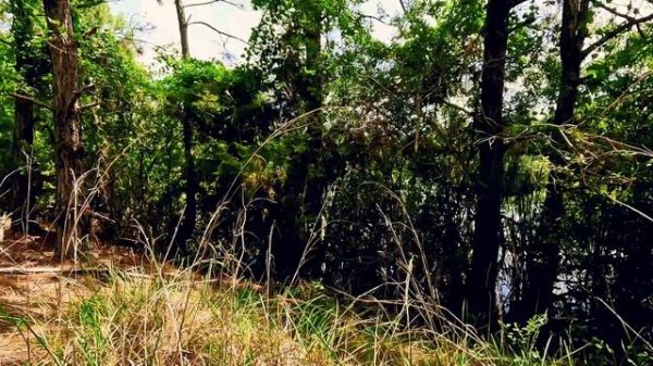 Taye Brown Regional Park Jacksonville Florida