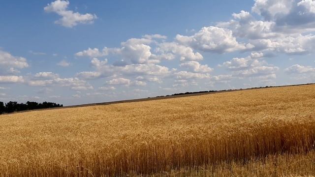 Духовные людоеды , живущие в непрощении смотреть онлайн