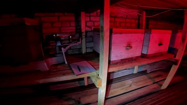 Р/к на 22 февраля смотреть онлайн