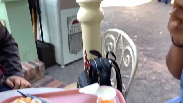 Spend the Day in Disneyland | LA Travel Vlog | Jasmine La Flor смотреть онлайн