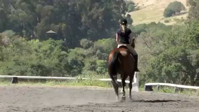 FDF Bet on Me, "Cash" смотреть онлайн