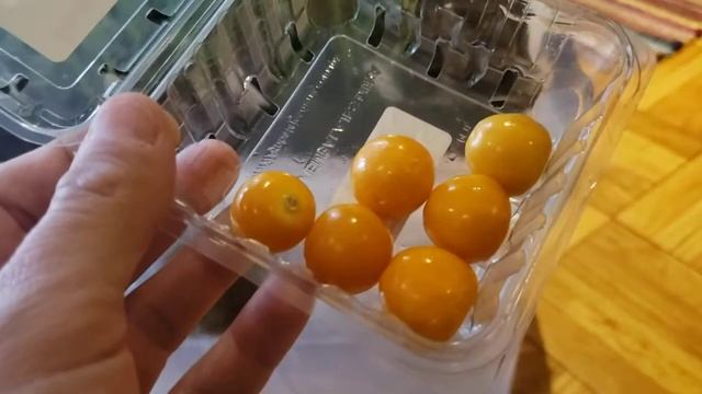 Planting Golden Berry aka Cape Goose Berries from Aldi смотреть онлайн