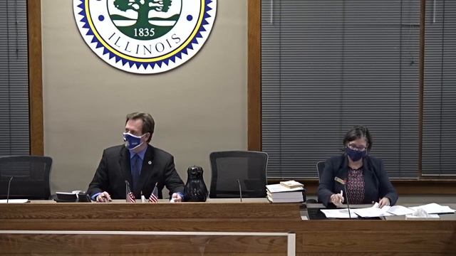 City Council & Committee of the Whole Meetings November 2, 2020 - City of Geneva, IL смотреть онлайн
