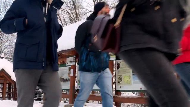 Raport Bieszczadzki: Zima 2019/2020 🏔