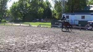 Suzanne Deuel & Calisto- Low Adults @ Angelstone