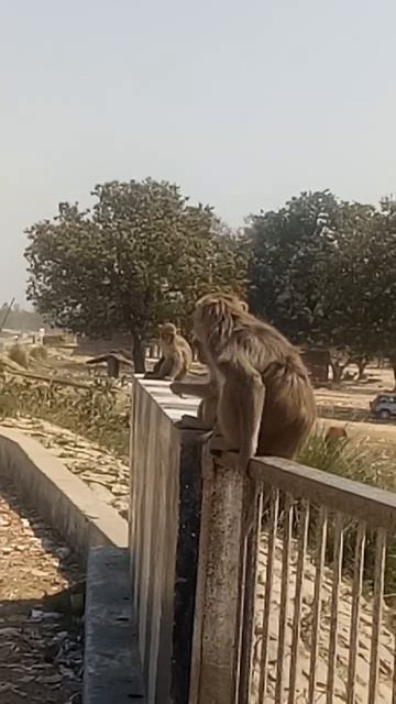 March 4, 2023 смотреть онлайн