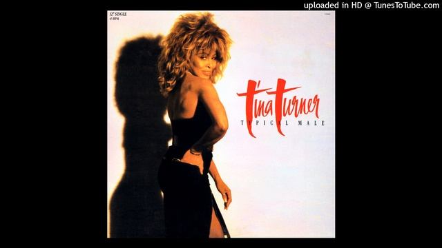 Tina Turner- A1- Typical Male- Dance Mix смотреть онлайн