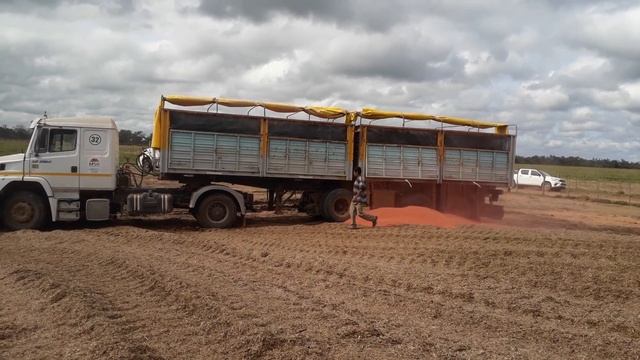 Silos con grano de soja + sorgo planta entera смотреть онлайн