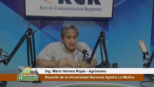 AMANECER EN EL CAMPO