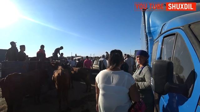 QO'Y-MOL BOZORI. ЭШАК НАРХЛАРИ. ХОРАЗМ МОЛ БОЗОРИ НАРХЛАРИ. смотреть онлайн