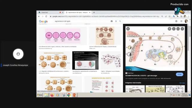 SEGUNDOS SUMATIVOS UNS II PARTE ( 2012-II ) смотреть онлайн