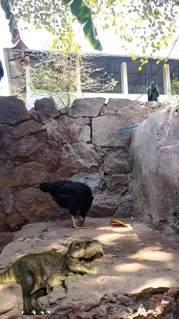 SMALL DINOSER 🥵💥💥🔥#shorts #kids #funnyvideos #viral #funny #cartoon #kidsvideo #india #mrbean смотреть онлайн