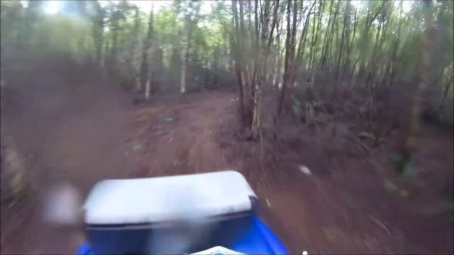 Down The Bog With the Grizzly 125, Raptor 90 and Raptor 80! смотреть онлайн