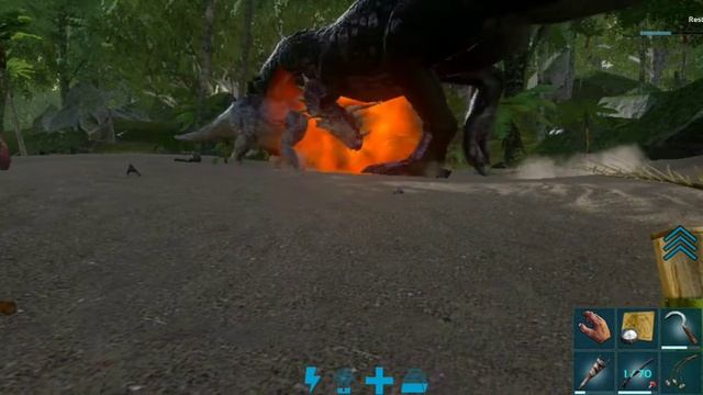 ark Triceratops VS T rex Dinosaurus fight смотреть онлайн