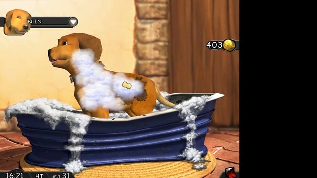 кот и пёс серия 442 - нельзя посмотреть дом🐶❤ смотреть онлайн