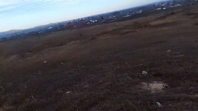 VLOG прогулка с Арчиком в поле 🐕подвернула ногу смотреть онлайн
