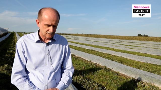 Komplesowo o fertygacji i dokarmianiu malin w uprawie polowej - Malinowe Factory 2017 смотреть онлайн