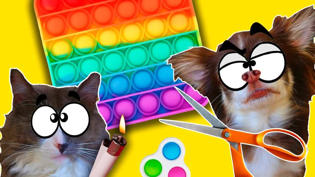 Питомцы против POP IT! Кто уничтожит первым? смотреть онлайн