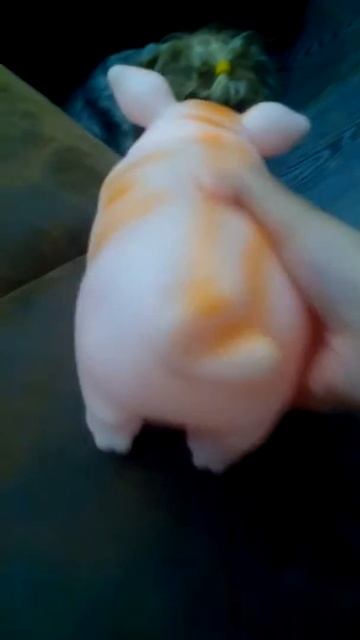 Собака боится хрюкающюю свинью смотреть онлайн