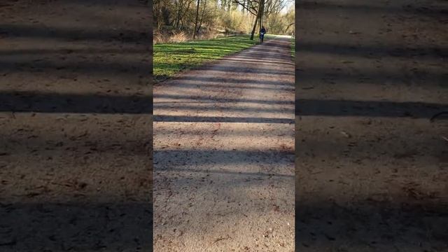 выпуск 2 - утро в парке смотреть онлайн