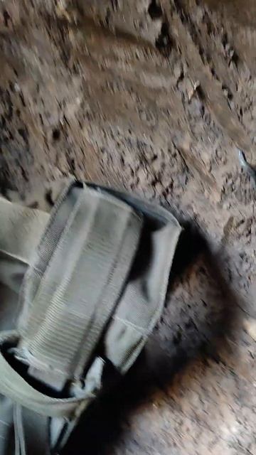 SLS: life moments part¹⁶⁰. Повзучі гади смотреть онлайн