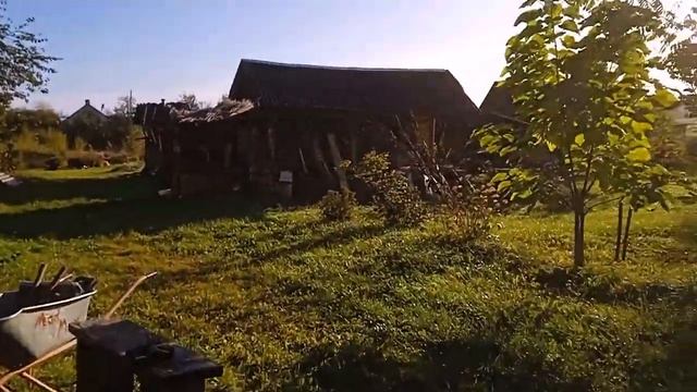 Сезон 2023. 15.10. Вызвал подкрепление, с hi-tec "прибором"! Обрезаем и чикаем...) смотреть онлайн