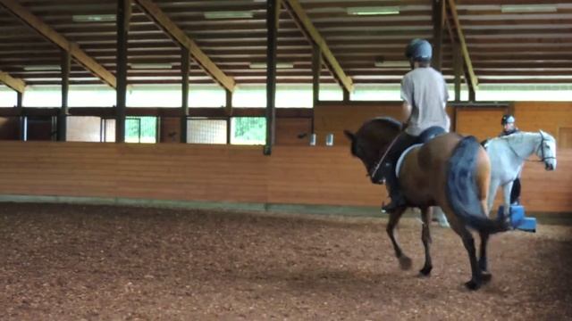 Terry and Cruzer 6 смотреть онлайн