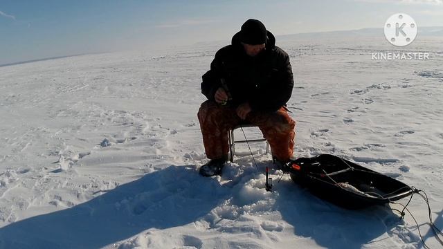 Бершиное гнездо смотреть онлайн