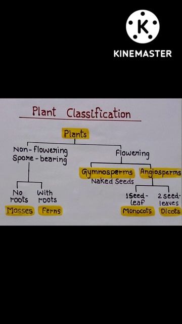 #shorts classification of plants 🪴🌴🌳🌲🍁🌻....👍🤗 смотреть онлайн