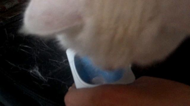 Мойте лапы перед едой смотреть онлайн