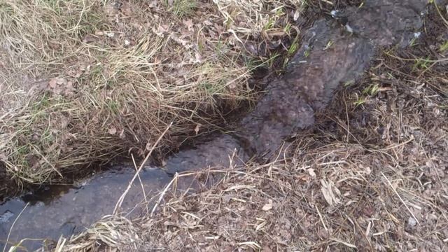 Почему древняя мудрость, ПОПРОБУЙ СТАНЬ ВОДОЙ ВЕРНА смотреть онлайн