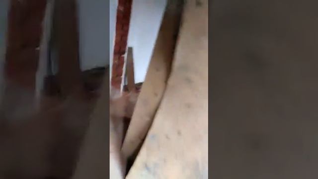 Аврора 6 смотреть онлайн