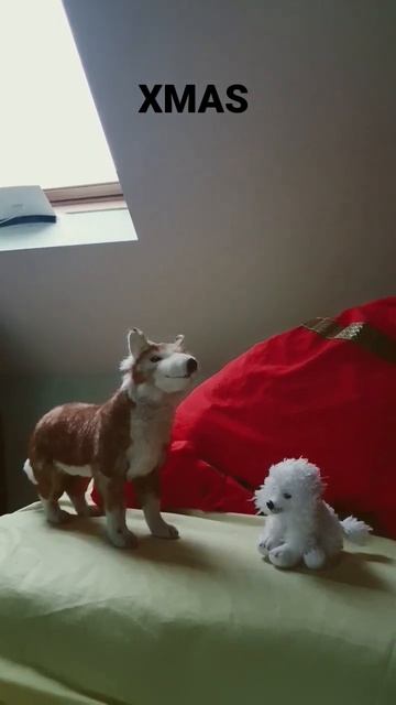 coyote and poodle xmas смотреть онлайн